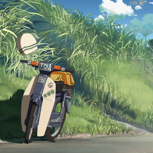 外网每日大赛视频
