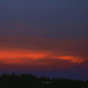 外网每日大赛视频
