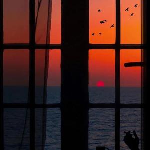 外网每日大赛视频
