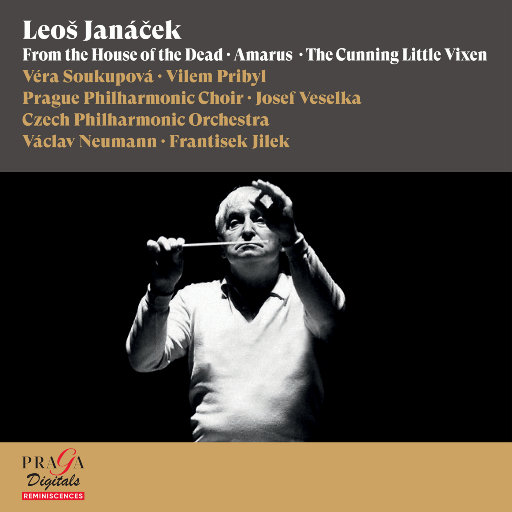 外网每日大赛视频
